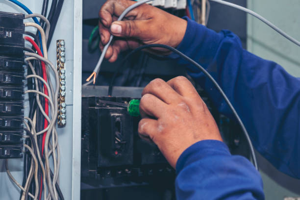 Best Generator Installation Services  in Trinity, FL