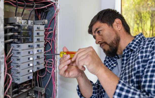 Best Affordable Electrician  in Trinity, FL